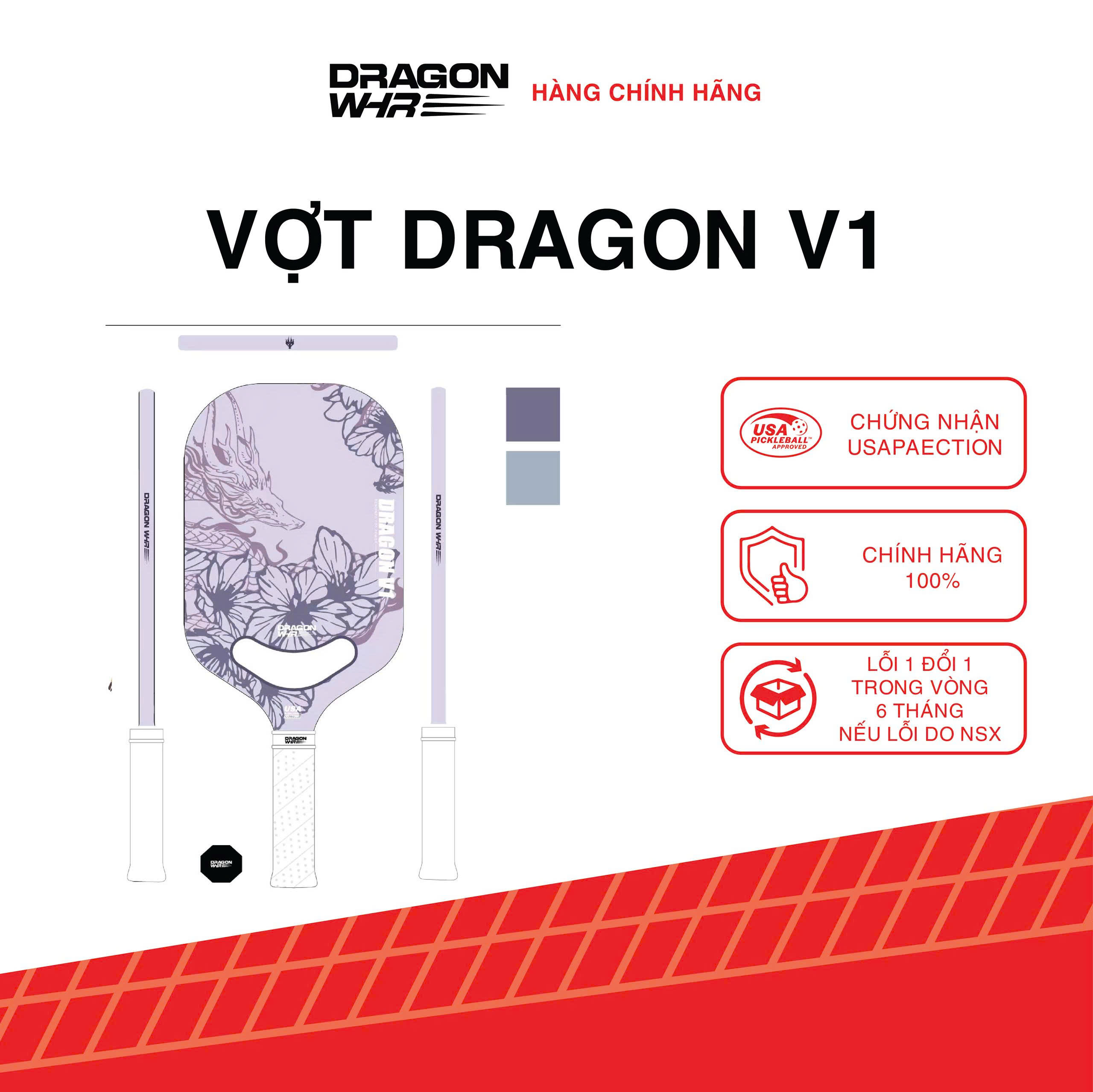 DRAGON V1
